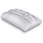Body Chemistry SoftCell Select Reversible Hybrid Pillow