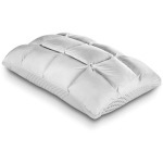 Body Chemistry SoftCell Latex Reversible Hybrid Pillow