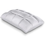 Body Chemistry SoftCell Reversible Hybrid Pillow