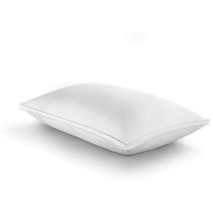 Down Complete Pillow