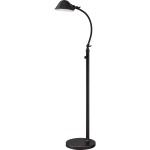 Vivid Collection Thompson LED Floor Lamp