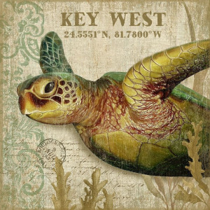 Sea Turtle II