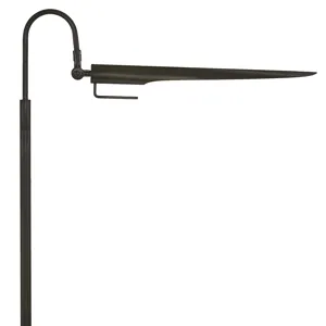Raven Floor Lamp (Oil Rubbed Bronze)
