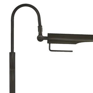 Raven Floor Lamp (Oil Rubbed Bronze)