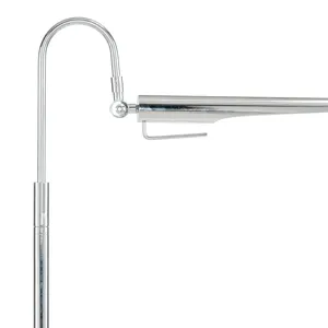 Raven Floor Lamp (Polished Nickel)