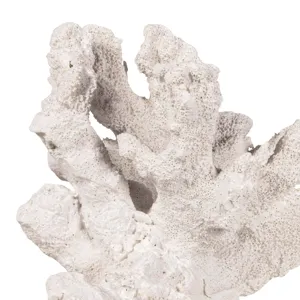 Triton Coral Accessory