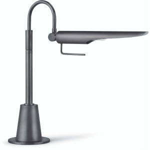 Raven Task Lamp (Oil Rubbed Bronze)