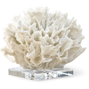 Ribbon Coral (White)