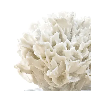 Ribbon Coral (White)