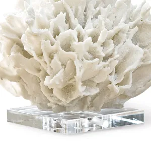 Ribbon Coral (White)