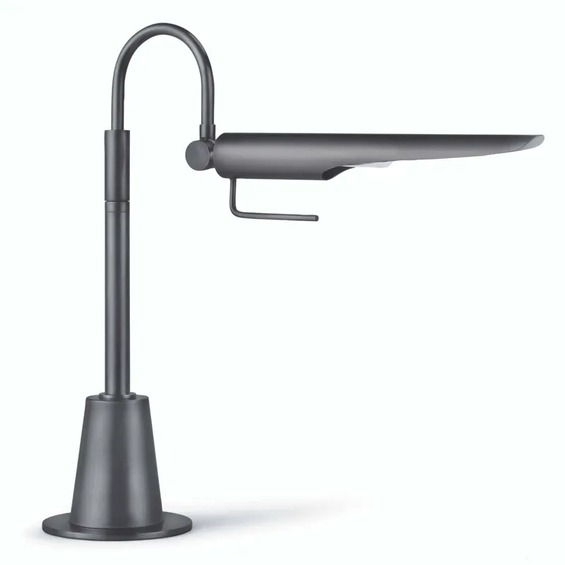 Raven Task Lamp (Oil Rubbed Bronze)