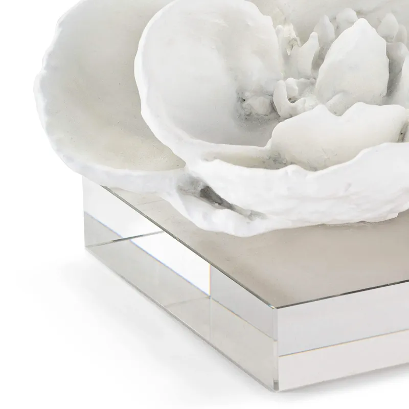 Magnolia Objet (White)