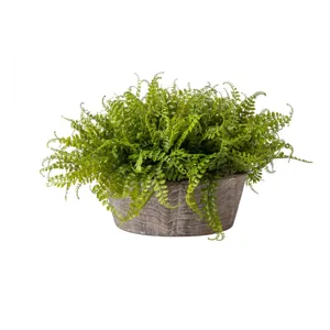 16" Dorian Wood Bowl With UV Protected Grass Arrangement 