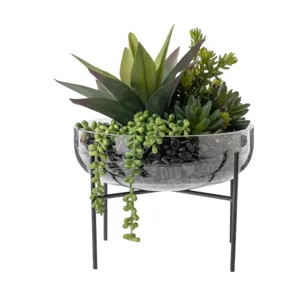 8" Sadie Glass Bowl W/ Succulent Arrangement