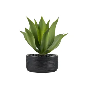 12" Syndey Bowl with Agave