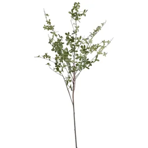 49" Enkianthus Perulatus Spray - UV Treated
