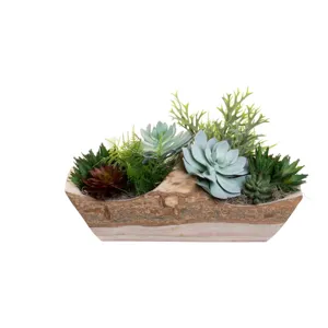23" Sedona Wood Basket with Succulent Arrangement