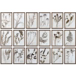 Botany - Set of 6