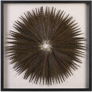 Feather Burst Shadow Box