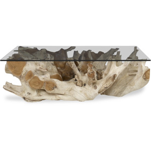 Center Root Coffee Table