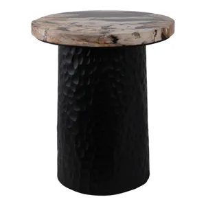 18" Petrified Wood Top Accent Table Dimple Base