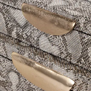 S/2 10/12" Shimmer Snakeskin Boxes W/ Hardware, Go
