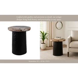 18\" Petrified Wood Top Accent Table Dimple Base