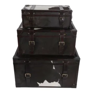 S/3 19/23/27\" Hair On Hide Cow Print Trunks, Multi