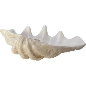 25'' IVORY CLAM SHELL BOWL