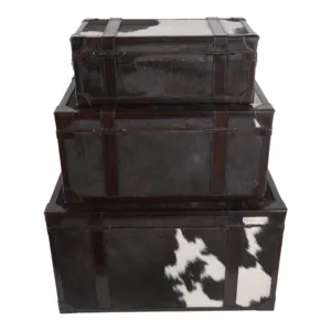 S/3 19/23/27\" Hair On Hide Cow Print Trunks, Multi