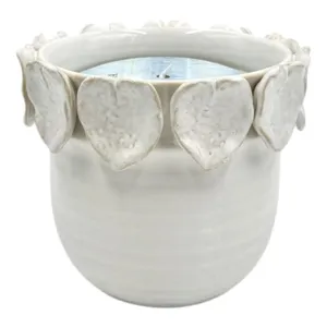 6" 17 Oz Wood Sage& Sea Salt Applique Candle,ivory