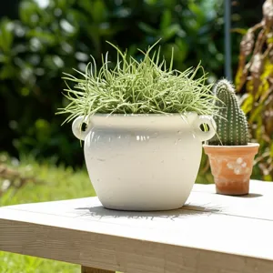 10\" Textured Stoneware Jug Planter, White