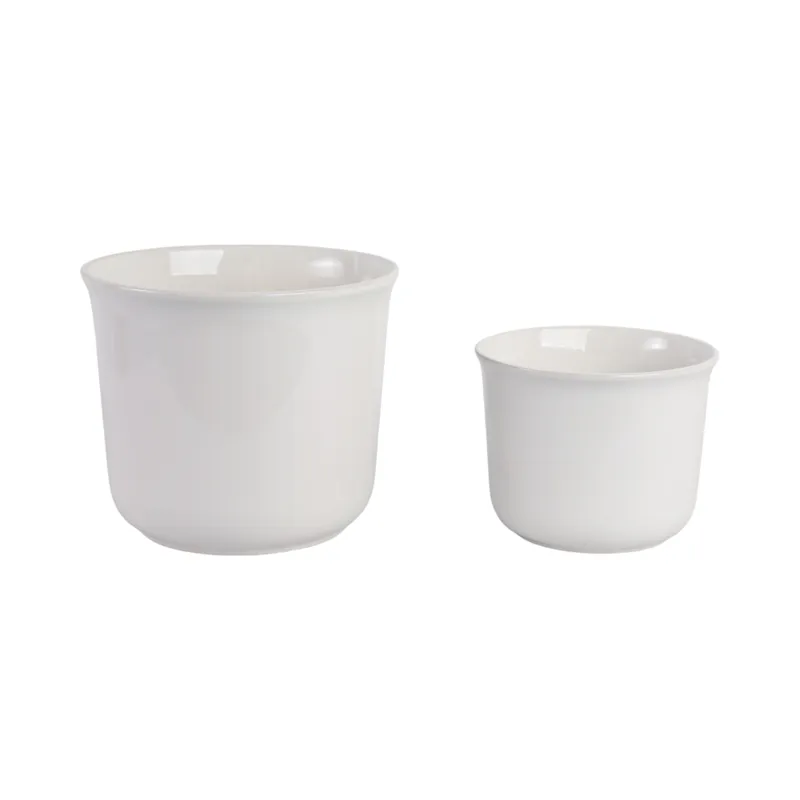 S/2 9/11\" Pretty Bow Planters, White