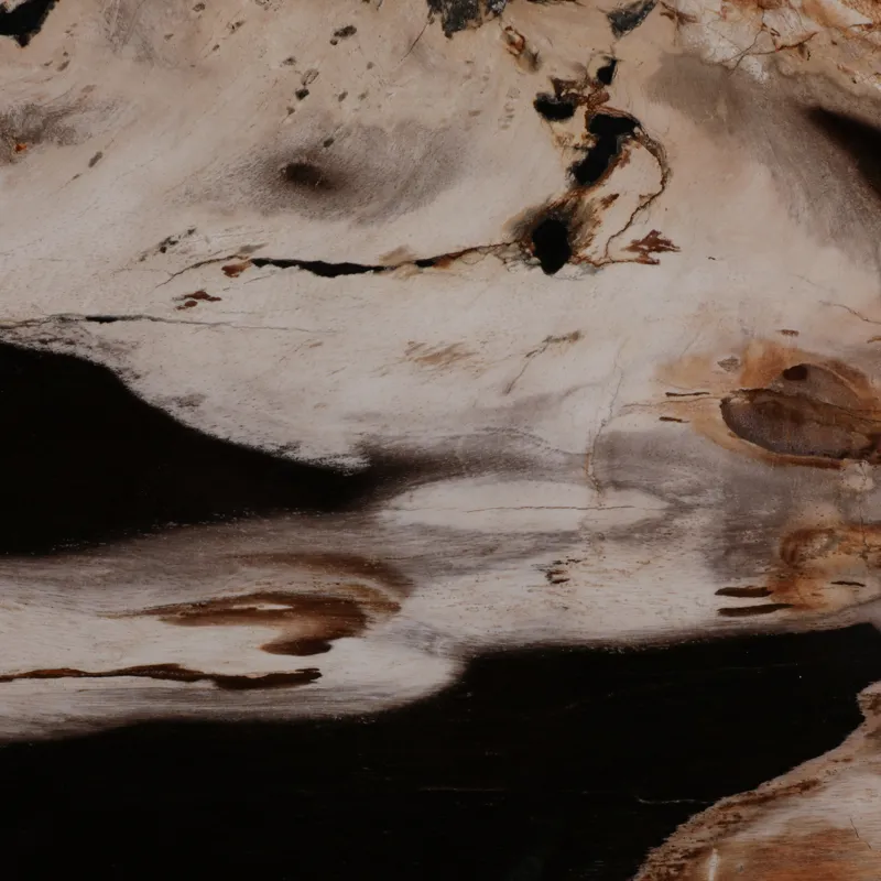 18\" Petrified Wood Top Accent Table Dimple Base