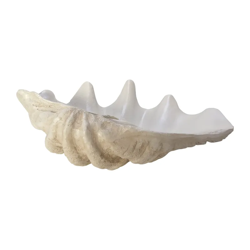 25\" Pearlized Clam Shell Bowl, Ivory