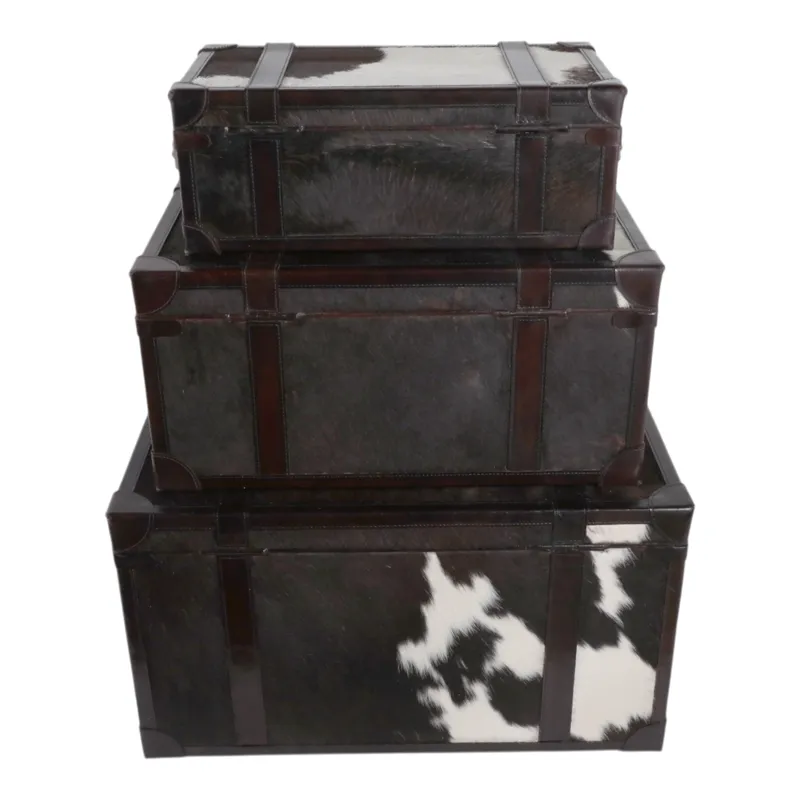S/3 19/23/27\" Hair On Hide Cow Print Trunks, Multi