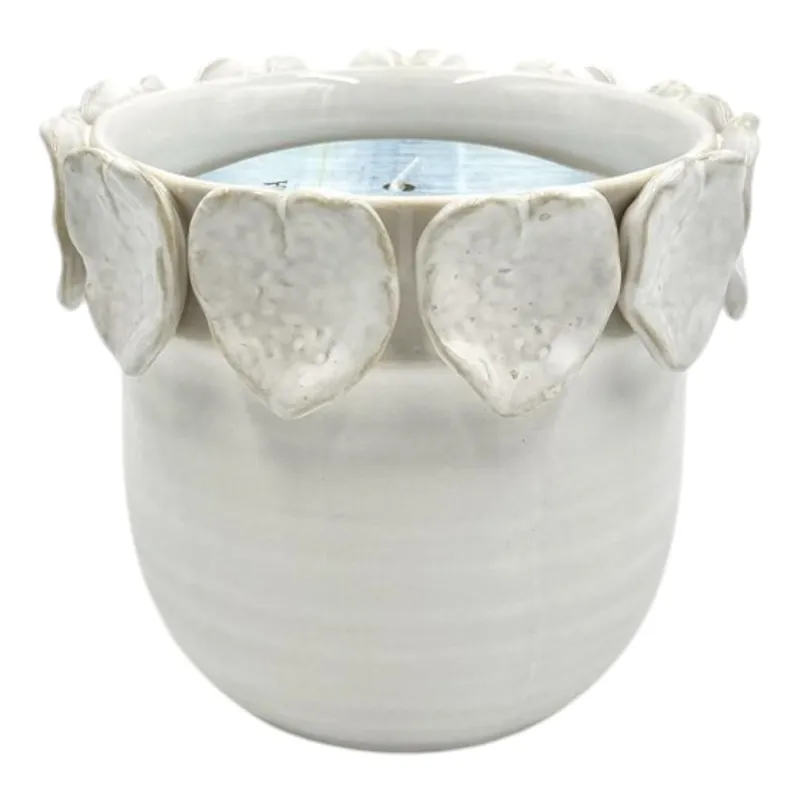 6\" 17 Oz Wood Sage& Sea Salt Applique Candle,ivory