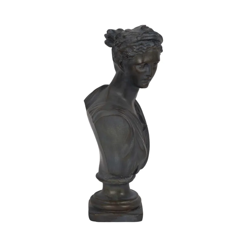 Ec 12" Grecian Bust Distressed Resin, Bronze