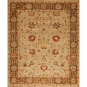 144188 Maharani , Shefali, Camel/Toffee