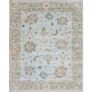 Assorted Traditional 148853 Vogue Coll Oushak Havana, Blue