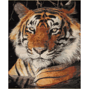 Animal Kingdom, Tiger Rug