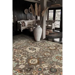 Meridian Glory, Stone Grey