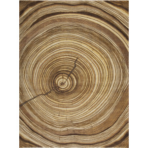 Whimsical, Old Oak, Wood