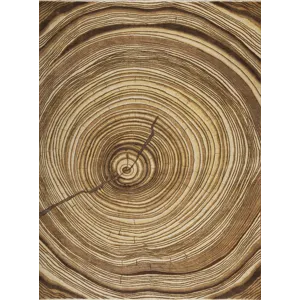 Whimsical, Old Oak, Wood