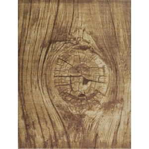 Whimsical Reserve, Tree Trunk, Wood