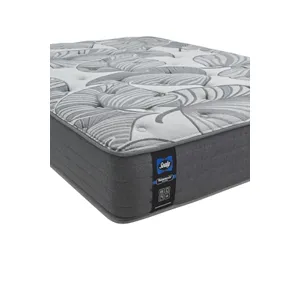 Ashcreek Medium Queen Mattress