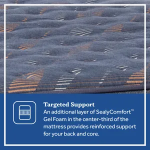 38037-18-SEA 25 PP Launch - PDPs_Special Ediition_SPRING_Warner_FIRM_TT_ATF_A_0305-FEATURE.jpg