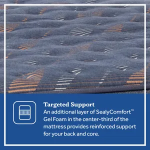 38037-18-SEA 25 PP Launch - PDPs_Special Ediition_SPRING_Warner_Medium_TT_ATF_A_0305-FEATURE.jpg