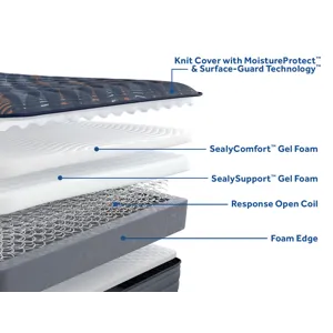 38037-18-SEA 25 PP Launch - PDPs_Special Ediition_SPRING_Warner_Medium_TT_BTF_A_02BTF 3.jpg