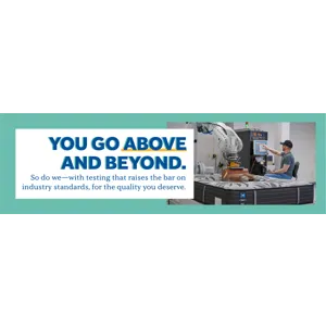 Essentials™ Winter Green Soft Faux Euro Top  Queen Mattress